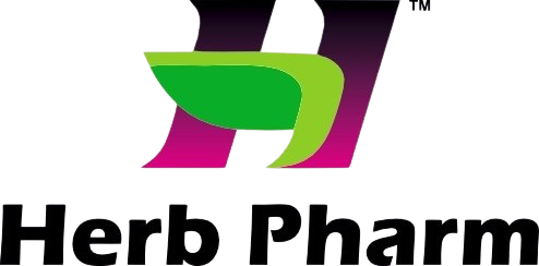 Dreamguy's Technologies